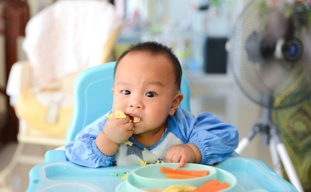 What is Baby-Led Weaning?
