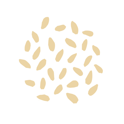 Sesame