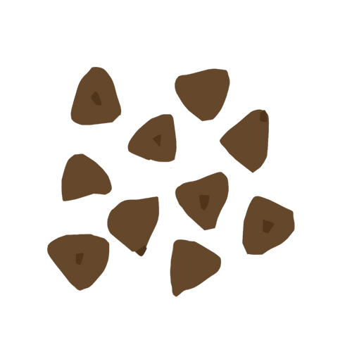Buckwheat