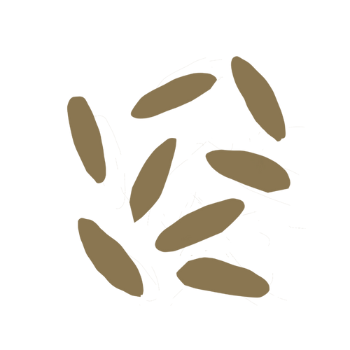 Freekeh