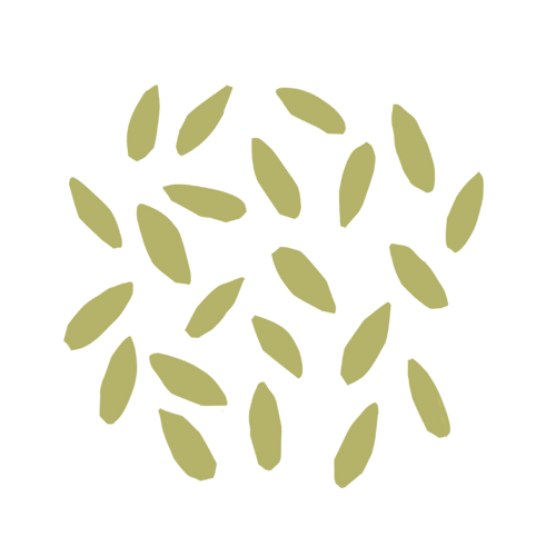 Rye
