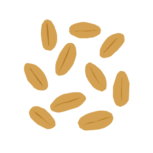 Spelt