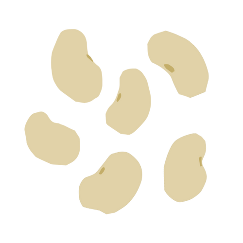 White Beans